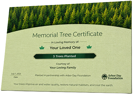 Plant Trees in Memory of William Reed